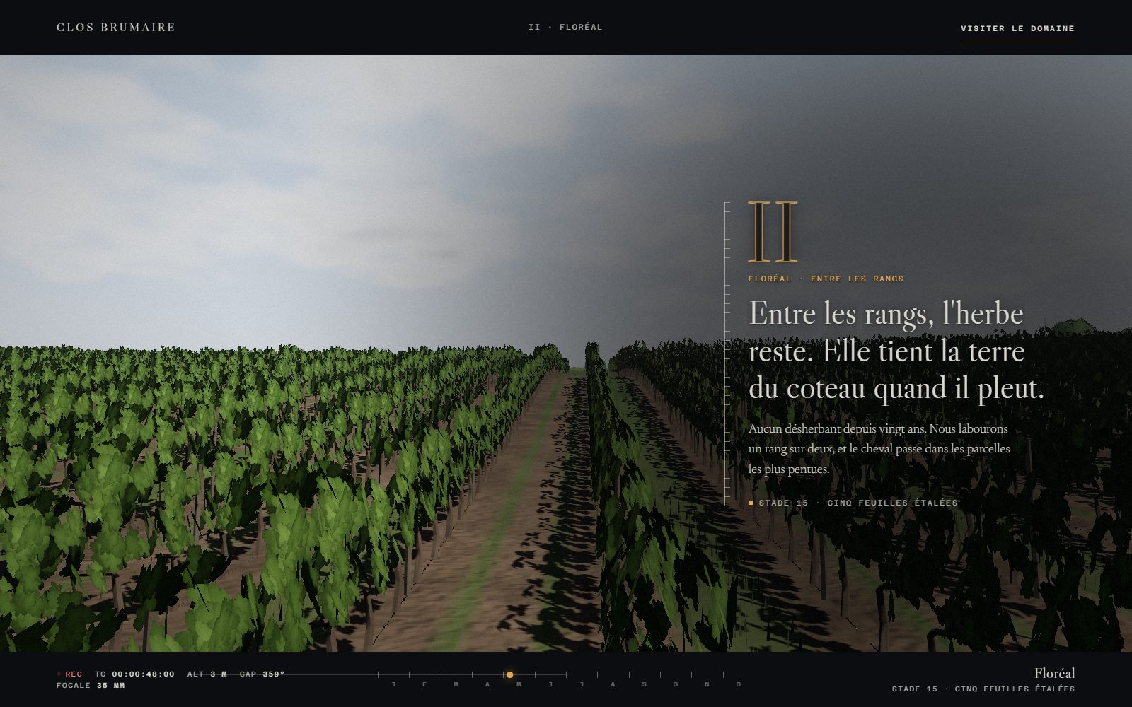 Floréal : la caméra glisse entre deux rangs de vigne au printemps, les ombres des ceps sur la terre labourée.